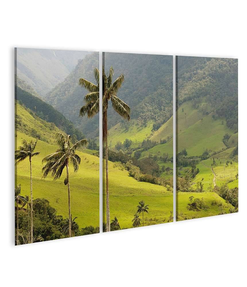 Islandburner Bild auf Leinwand Malerisches Wandbild mit Wachspalmen im idyllischen Cocora Tal, Kolumbien Bis zu 65% Rabatt