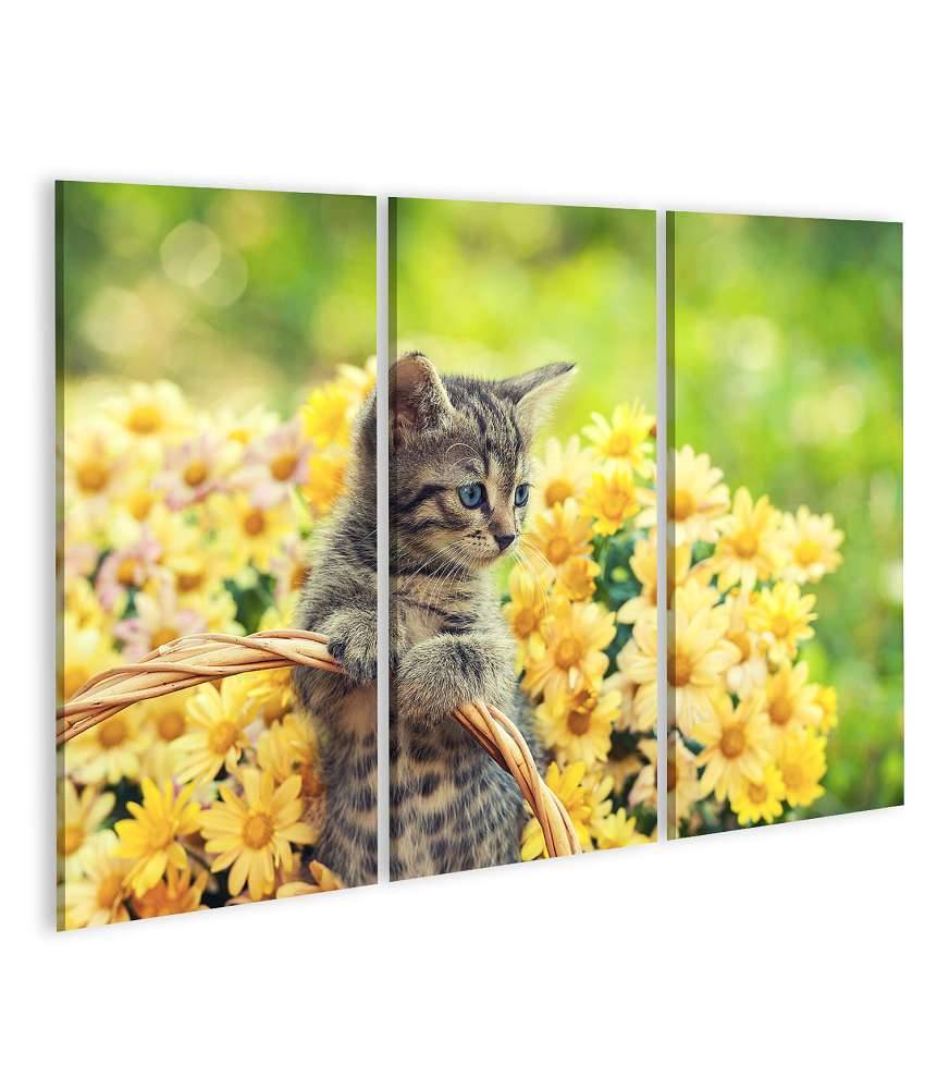 Islandburner Bild auf Leinwand Entzückendes Wandbild eines jungen Kätzchens in einem blumenreichen Garten Vierteljährliche Förderung