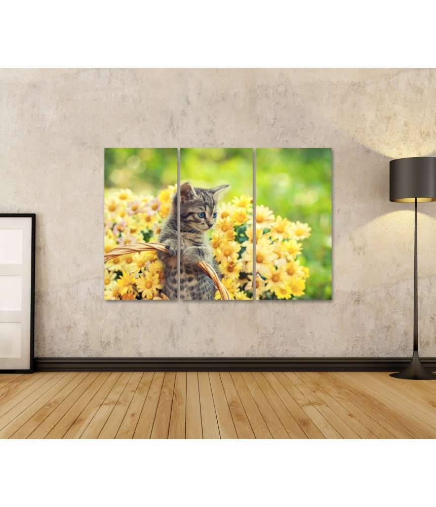Islandburner Bild auf Leinwand Entzückendes Wandbild eines jungen Kätzchens in einem blumenreichen Garten Vierteljährliche Förderung