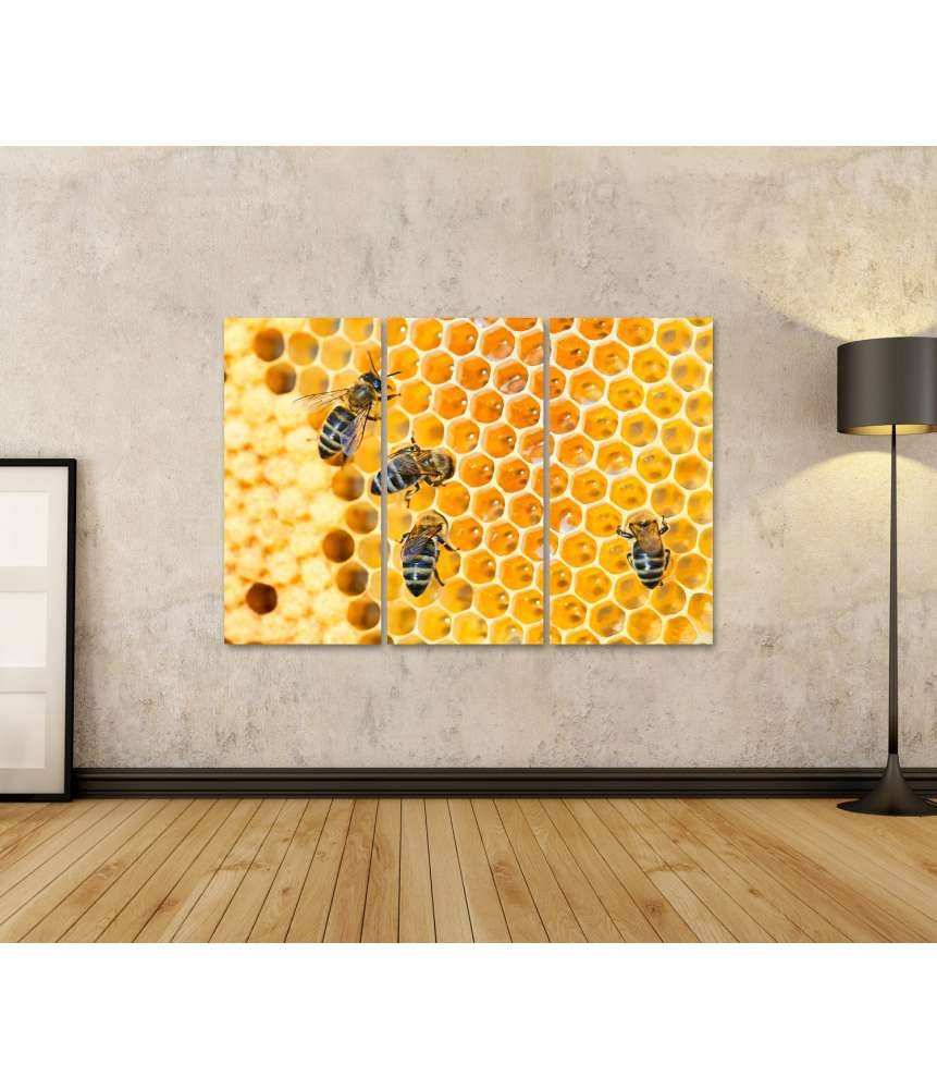 Islandburner Bild auf Leinwand Fleißige Bienen, die eifrig Honig in ihren Waben herstellen Bis zu 55% Rabatt