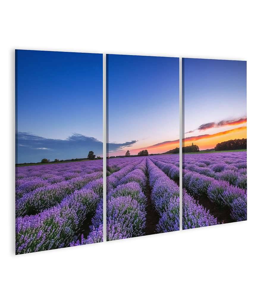 Islandburner Bild auf Leinwand Dramatischer Sonnenaufgang über duftendem Lavendelfeld mit Wolkenkulisse Nur noch ein Tag übrig