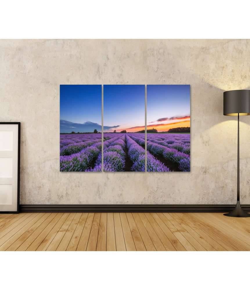 Islandburner Bild auf Leinwand Dramatischer Sonnenaufgang über duftendem Lavendelfeld mit Wolkenkulisse Nur noch ein Tag übrig