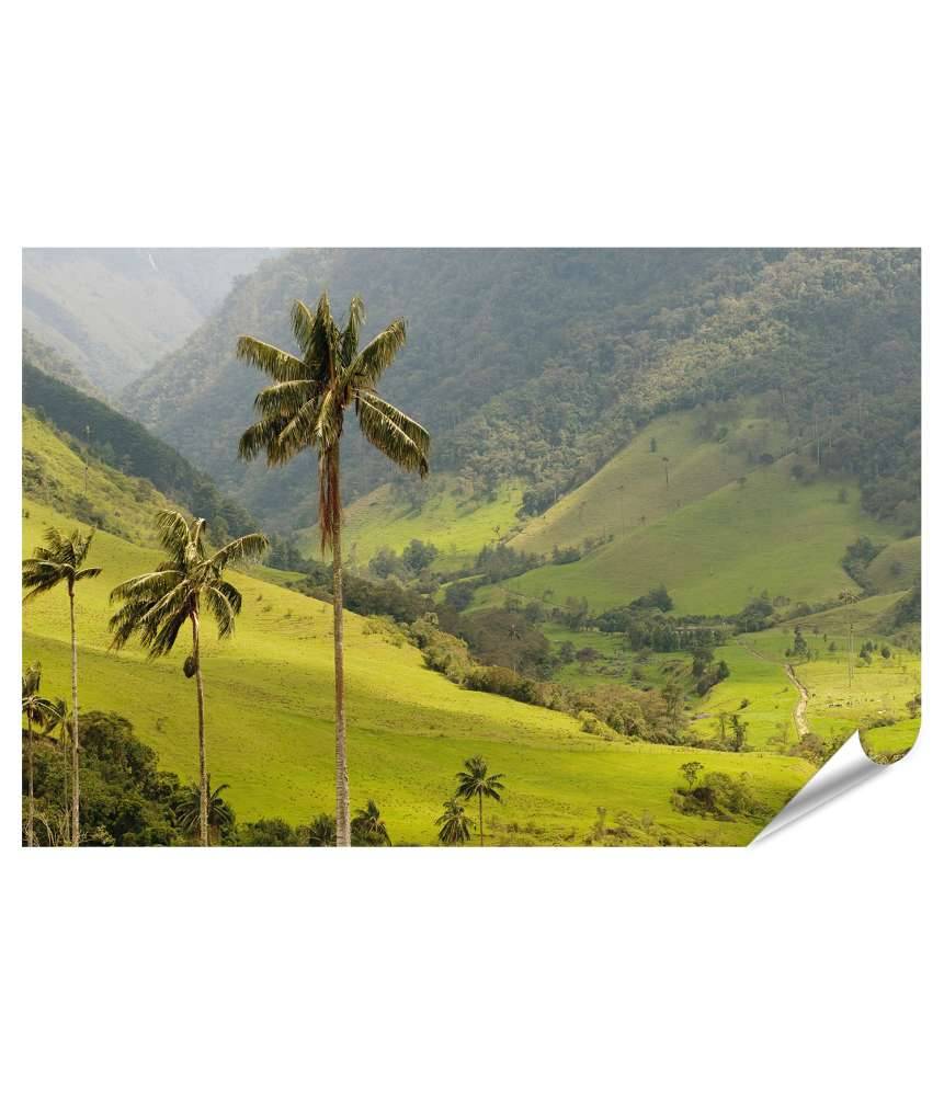 Islandburner XXL Premium Poster Malerisches Wandbild mit Wachspalmen im idyllischen Cocora Tal, Kolumbien 50% Rabatt mit kostenlosem Versand