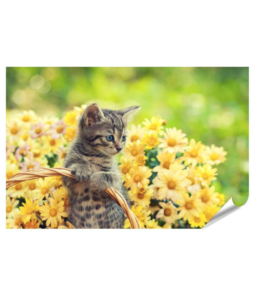 Islandburner XXL Premium Poster Entzückendes Wandbild eines jungen Kätzchens in einem blumenreichen Garten Kostenloser Versand international