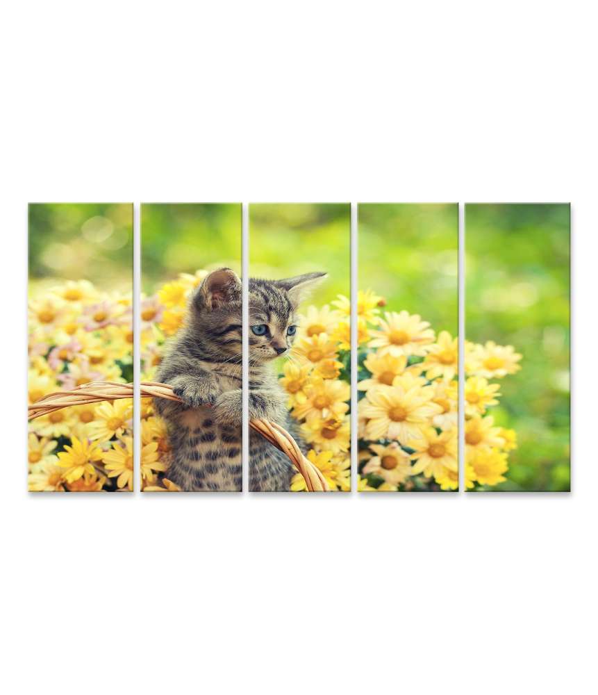 Islandburner Bild auf Leinwand Entzückendes Wandbild eines jungen Kätzchens in einem blumenreichen Garten Auslauf