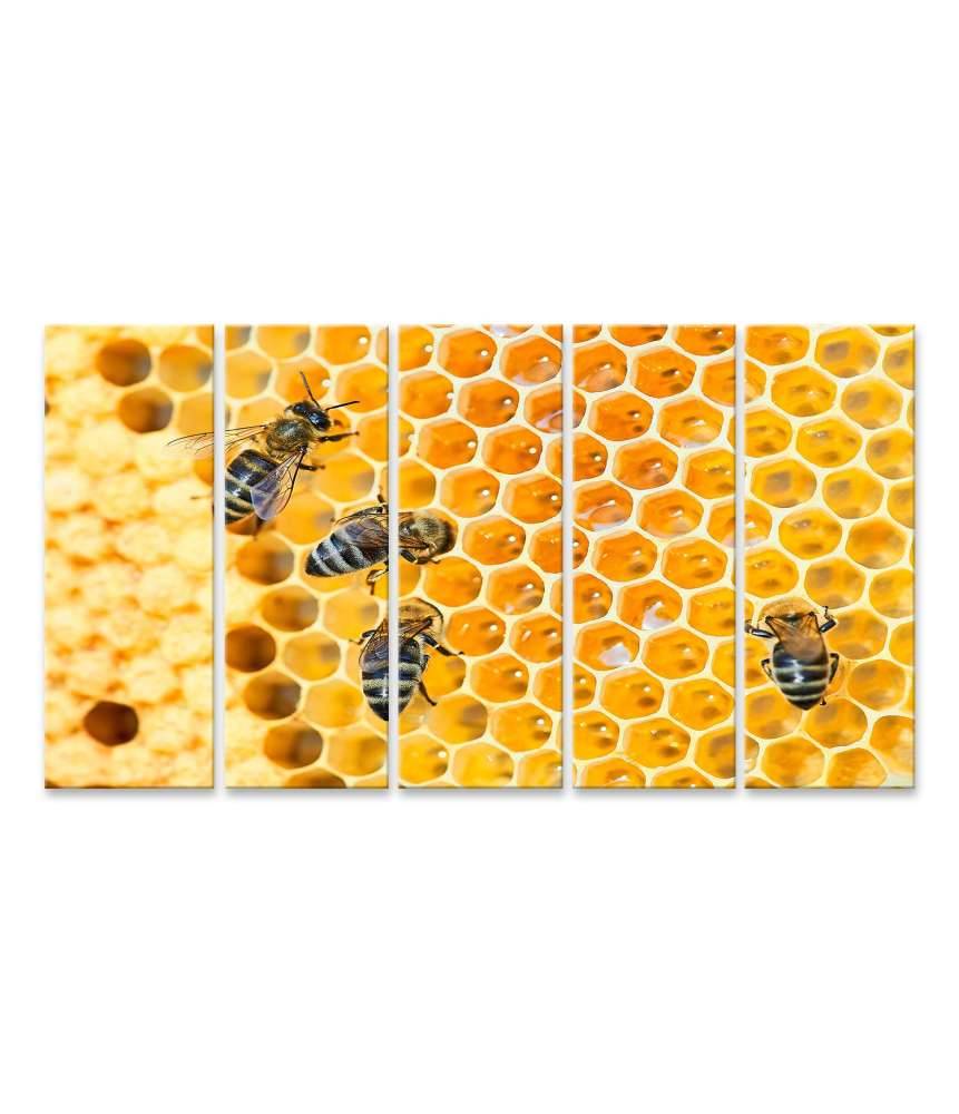 Islandburner Bild auf Leinwand Fleißige Bienen, die eifrig Honig in ihren Waben herstellen Schlussverkauf