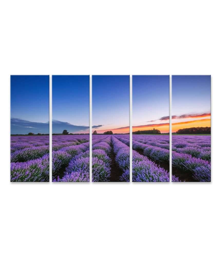 Islandburner Bild auf Leinwand Dramatischer Sonnenaufgang über duftendem Lavendelfeld mit Wolkenkulisse Fabrikverkauf