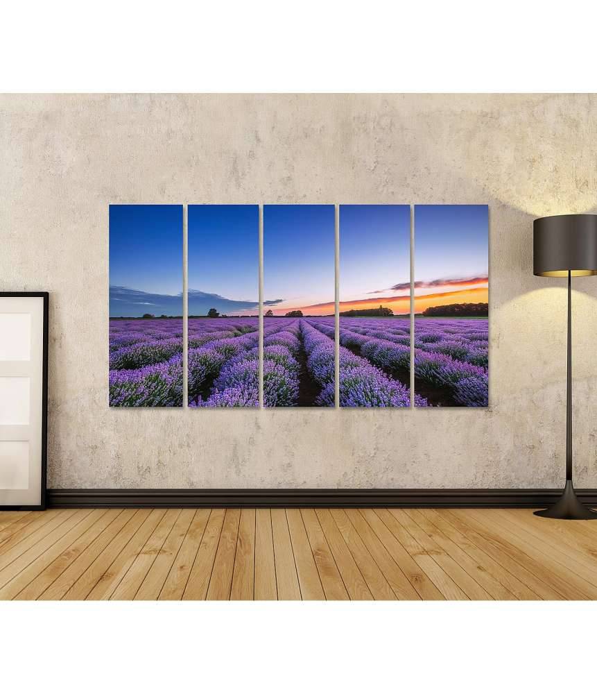 Islandburner Bild auf Leinwand Dramatischer Sonnenaufgang über duftendem Lavendelfeld mit Wolkenkulisse Fabrikverkauf