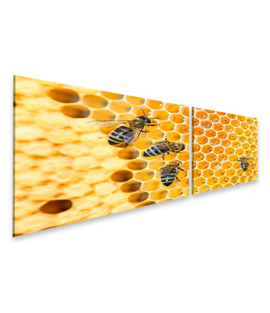 Islandburner Bild auf Leinwand Fleißige Bienen, die eifrig Honig in ihren Waben herstellen Versandkostenfrei