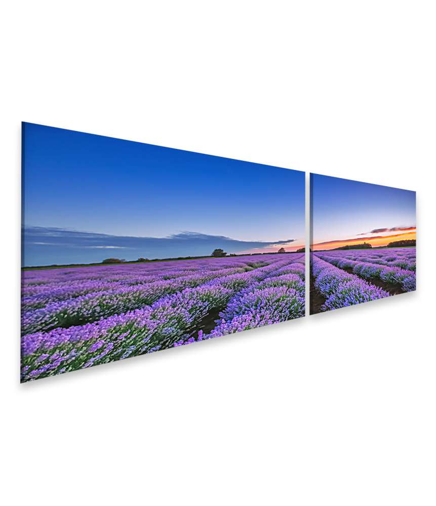 Islandburner Bild auf Leinwand Dramatischer Sonnenaufgang über duftendem Lavendelfeld mit Wolkenkulisse Flash Sale