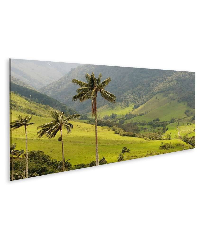Islandburner Bild auf Leinwand Malerisches Wandbild mit Wachspalmen im idyllischen Cocora Tal, Kolumbien Exklusivangebot