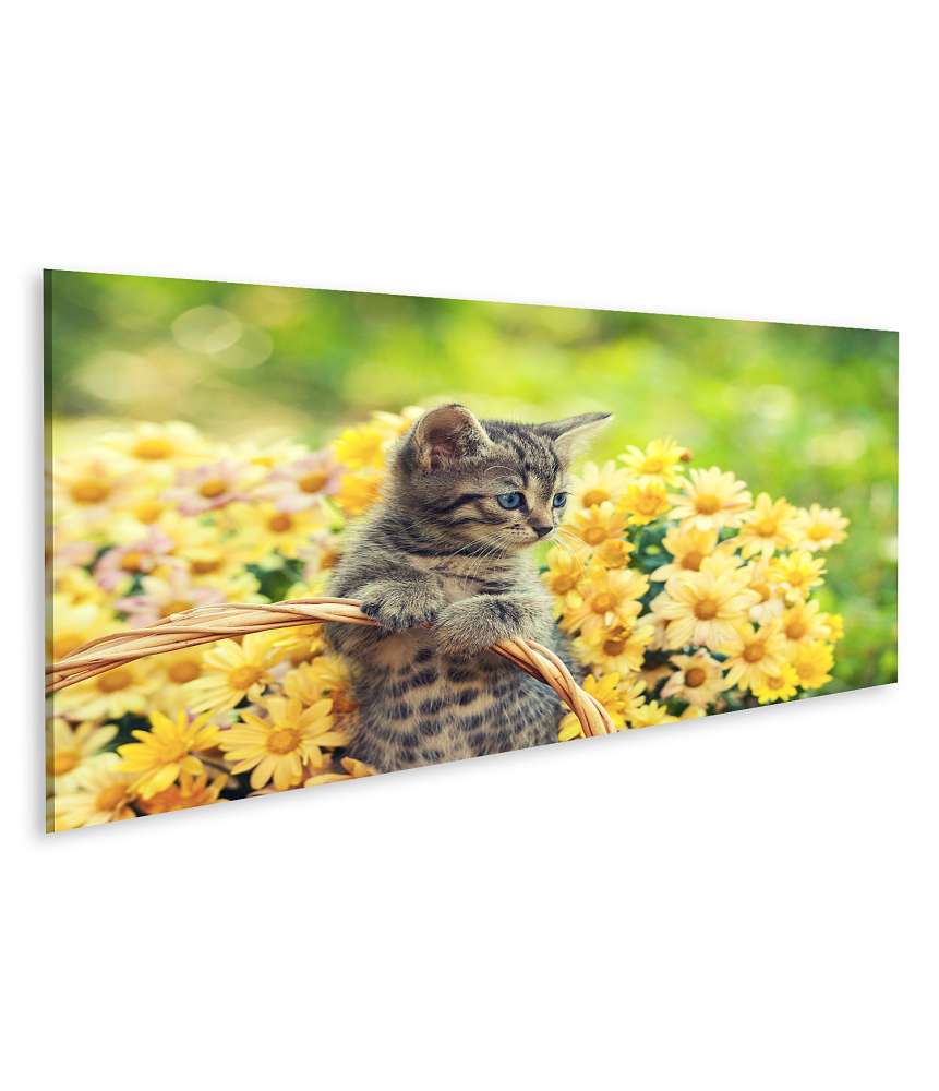 Islandburner Bild auf Leinwand Entzückendes Wandbild eines jungen Kätzchens in einem blumenreichen Garten Saisonschlussverkauf