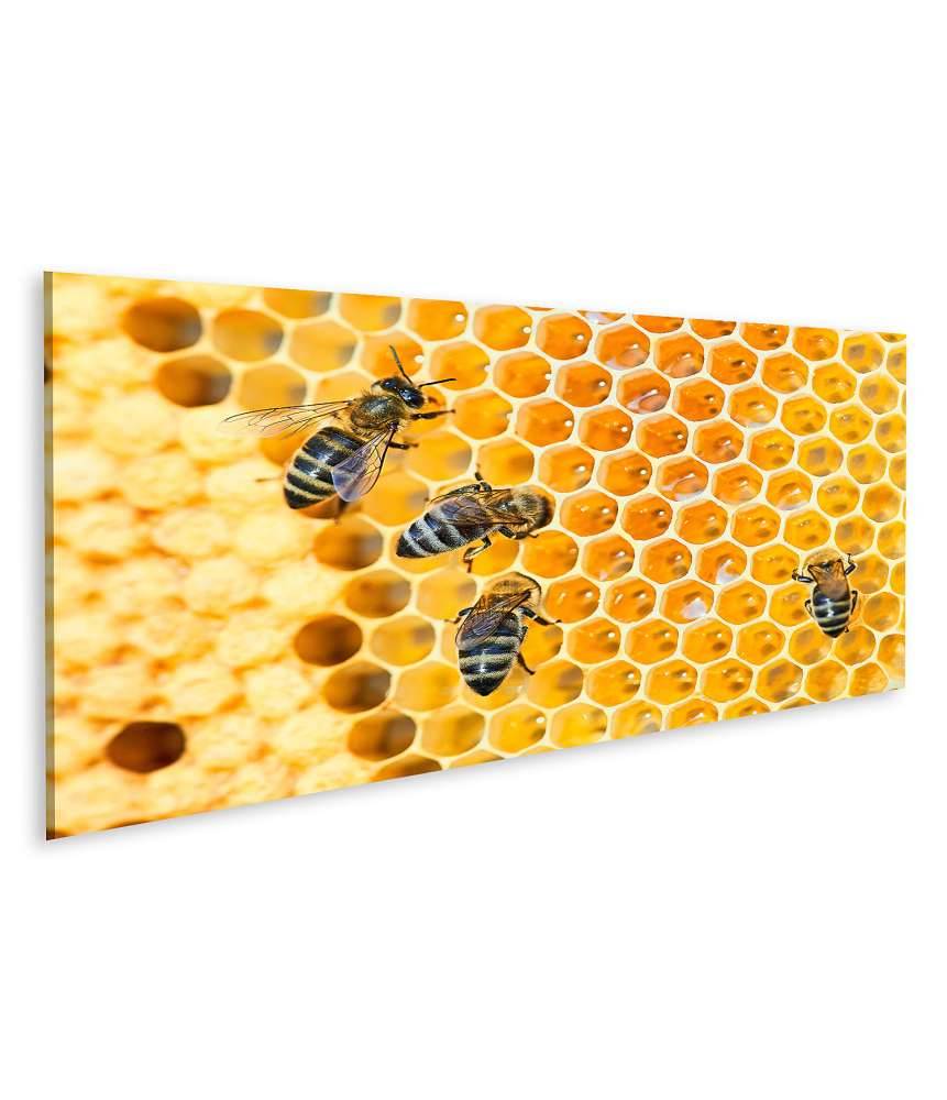 Islandburner Bild auf Leinwand Fleißige Bienen, die eifrig Honig in ihren Waben herstellen Muttertagsangebot