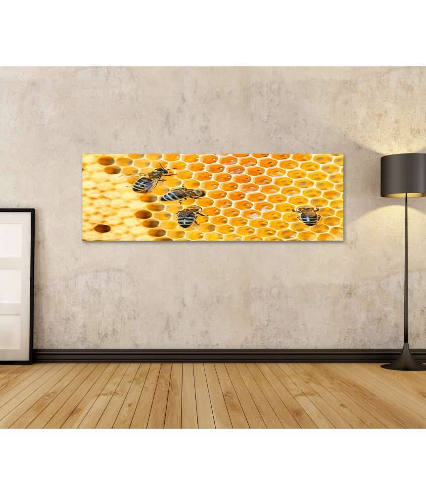 Islandburner Bild auf Leinwand Fleißige Bienen, die eifrig Honig in ihren Waben herstellen Muttertagsangebot