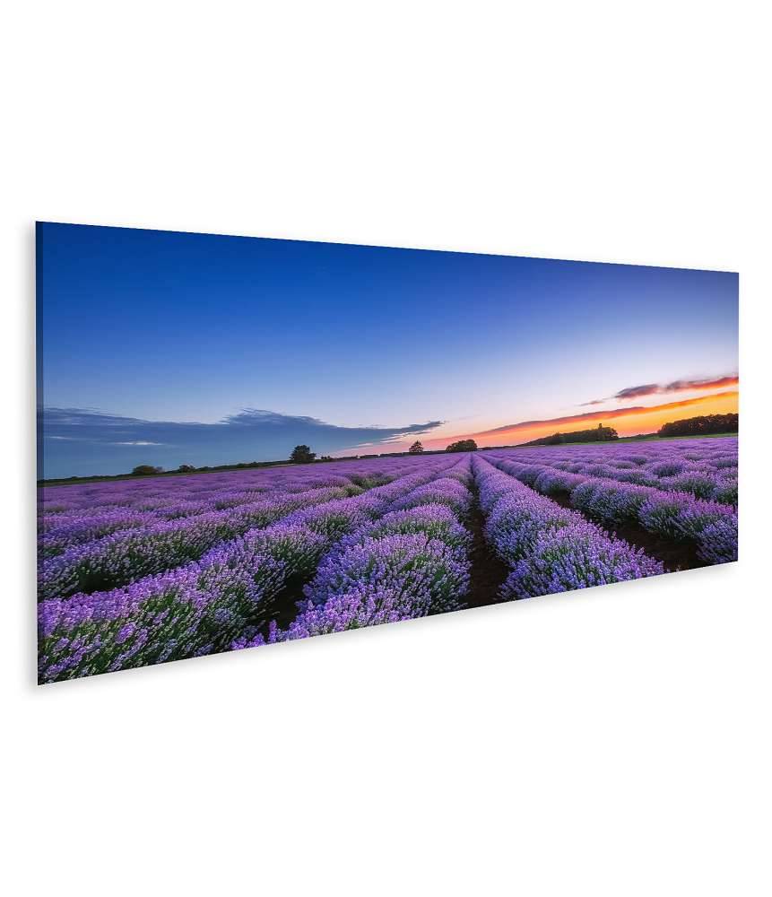 Islandburner Bild auf Leinwand Dramatischer Sonnenaufgang über duftendem Lavendelfeld mit Wolkenkulisse Valentinstagsangebot