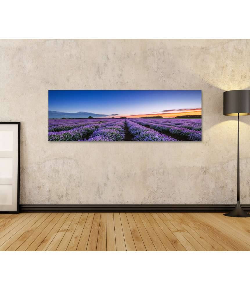 Islandburner Bild auf Leinwand Dramatischer Sonnenaufgang über duftendem Lavendelfeld mit Wolkenkulisse Valentinstagsangebot