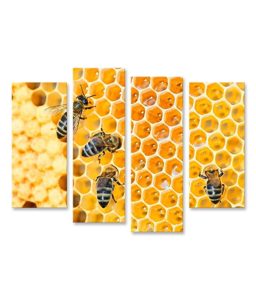 Islandburner Bild auf Leinwand Fleißige Bienen, die eifrig Honig in ihren Waben herstellen Wochenangebot
