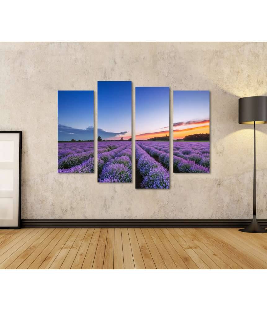 Islandburner Bild auf Leinwand Dramatischer Sonnenaufgang über duftendem Lavendelfeld mit Wolkenkulisse Begrenzte Freigabe