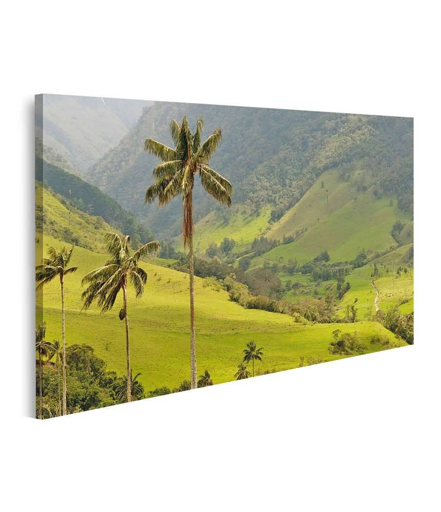 Islandburner Bild auf Leinwand Malerisches Wandbild mit Wachspalmen im idyllischen Cocora Tal, Kolumbien Neueste Stile