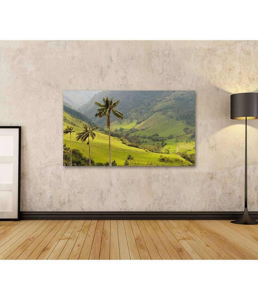 Islandburner Bild auf Leinwand Malerisches Wandbild mit Wachspalmen im idyllischen Cocora Tal, Kolumbien Neueste Stile