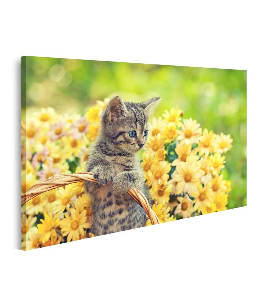 Islandburner Bild auf Leinwand Entzückendes Wandbild eines jungen Kätzchens in einem blumenreichen Garten Letzter Tag