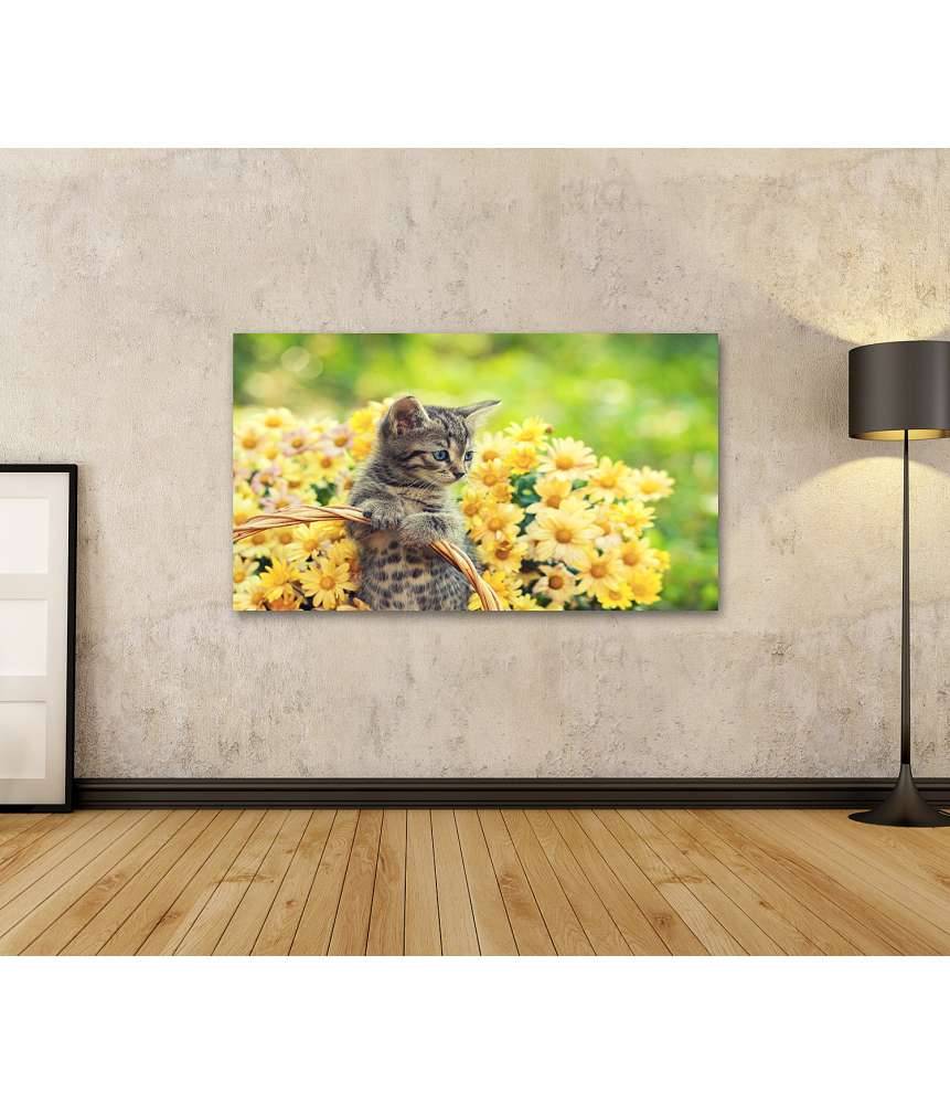 Islandburner Bild auf Leinwand Entzückendes Wandbild eines jungen Kätzchens in einem blumenreichen Garten Letzter Tag