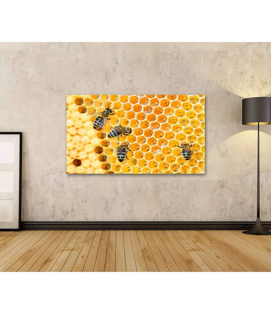 Islandburner Bild auf Leinwand Fleißige Bienen, die eifrig Honig in ihren Waben herstellen Nur für heute