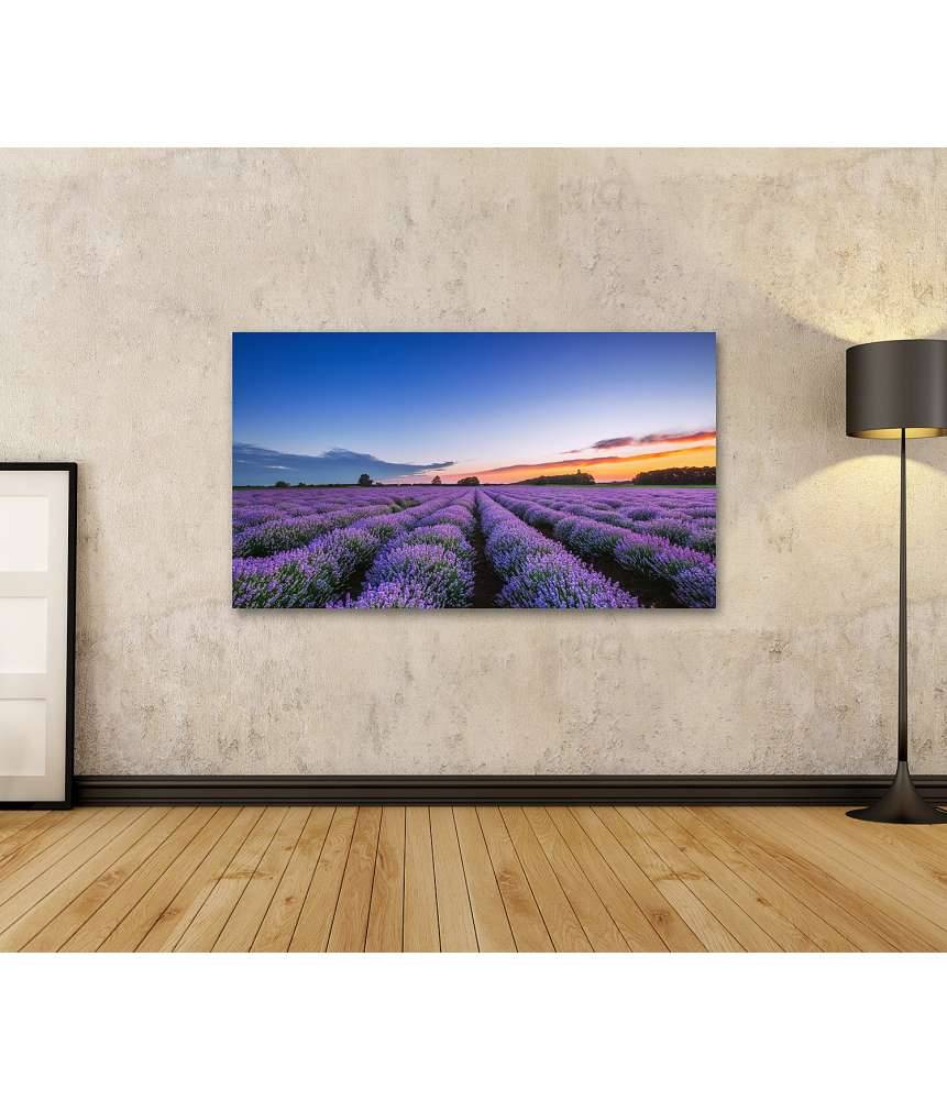 Islandburner Bild auf Leinwand Dramatischer Sonnenaufgang über duftendem Lavendelfeld mit Wolkenkulisse Vierteljährliche Förderung