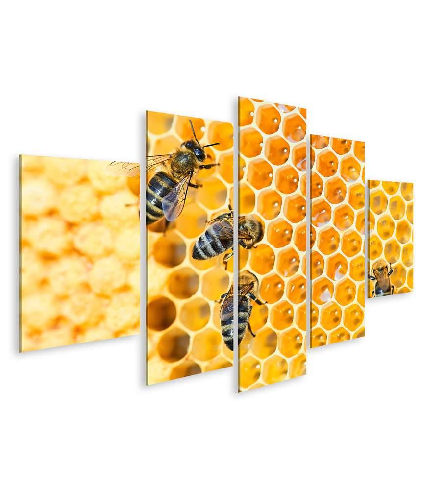 Islandburner Bild auf Leinwand Fleißige Bienen, die eifrig Honig in ihren Waben herstellen Begrenzt auf 3 Tage