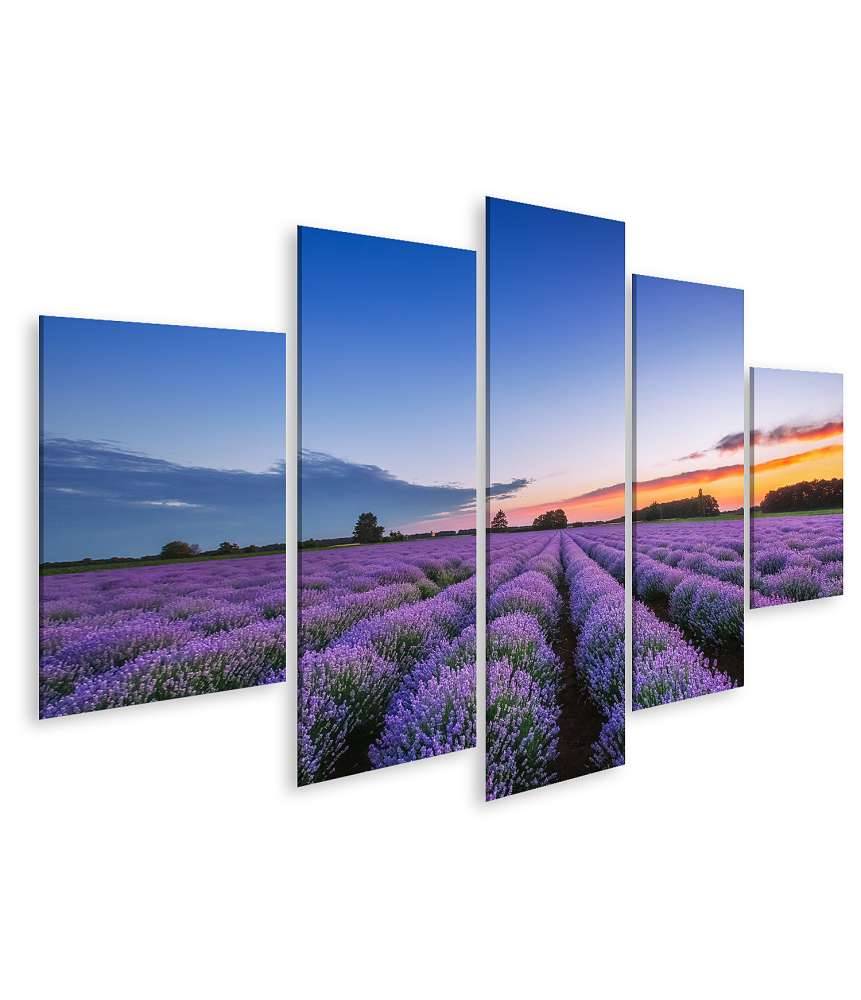 Islandburner Bild auf Leinwand Dramatischer Sonnenaufgang über duftendem Lavendelfeld mit Wolkenkulisse Black Friday Preise