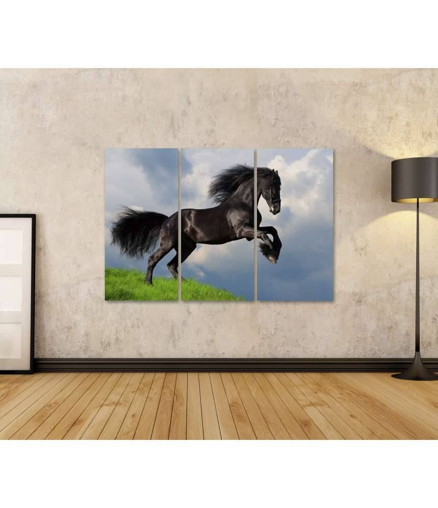 Islandburner Bild auf Leinwand Friesisches Pferd in voller Galopp auf Wandbild dargestellt Online