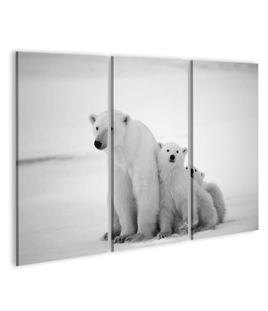 Islandburner Bild auf Leinwand Eisbär-Mutter mit Jungen in der eisigen Arktis - Polarbär Wandbild Rabatt