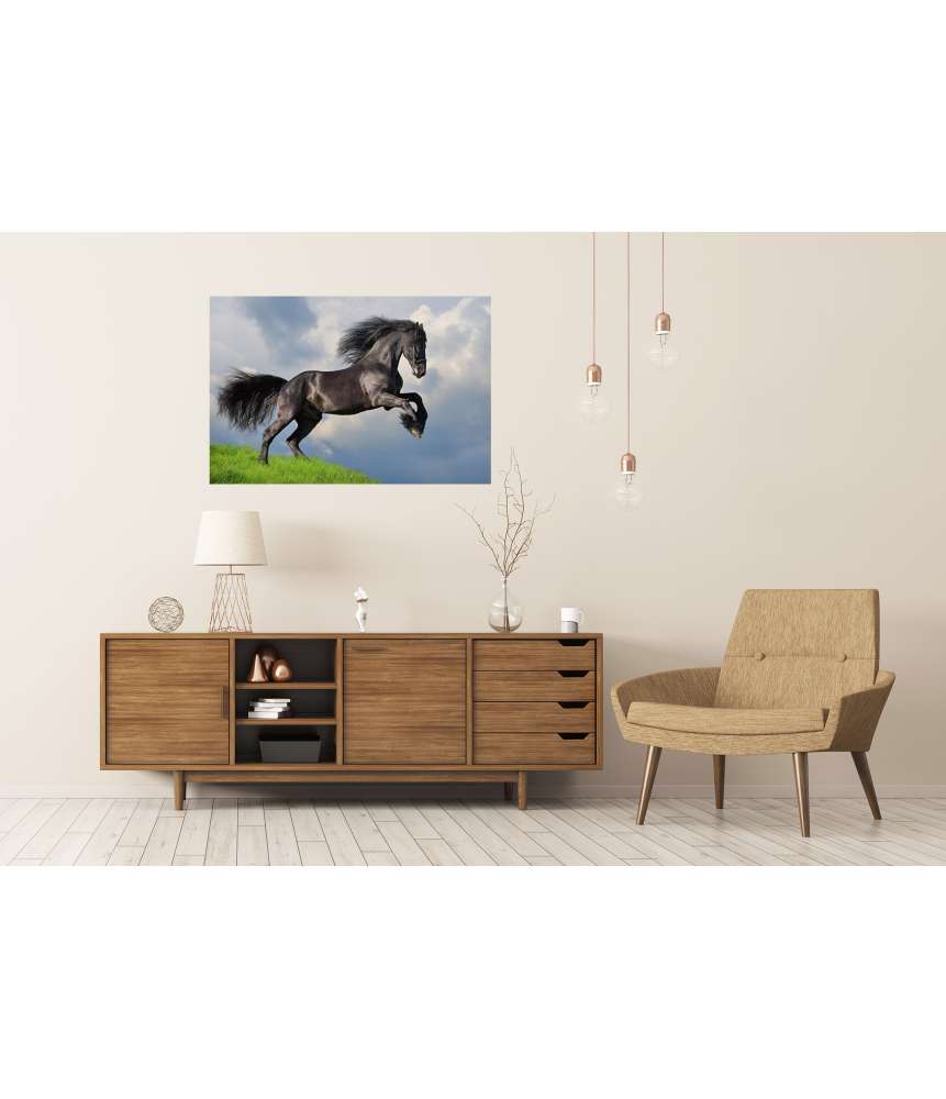 Islandburner XXL Premium Poster Friesisches Pferd in voller Galopp auf Wandbild dargestellt Preisnachlass