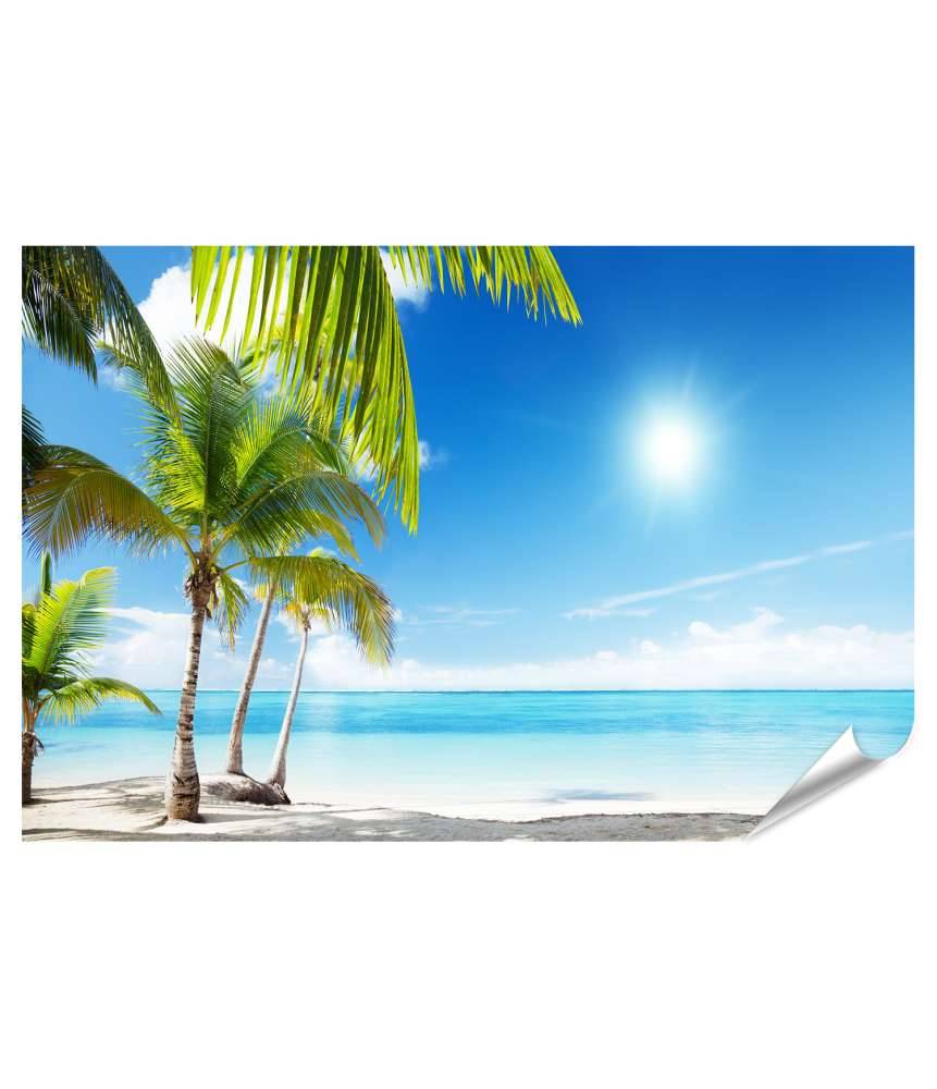 Islandburner XXL Premium Poster Karibischer Strand mit Palmen am azurblauen Meer Exklusive Angebote