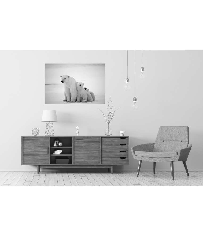 Islandburner XXL Premium Poster Eisbär-Mutter mit Jungen in der eisigen Arktis - Polarbär Wandbild Blitzangebot