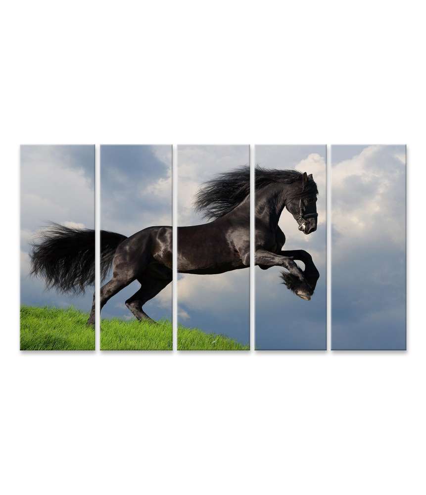 Islandburner Bild auf Leinwand Friesisches Pferd in voller Galopp auf Wandbild dargestellt Sonderangebote