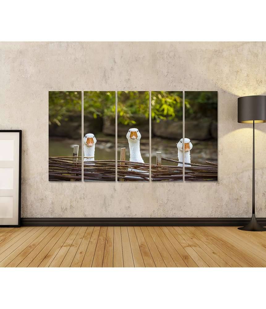 Islandburner Bild auf Leinwand Drei heitere weiße Gänse hinter einem Flechtzaun auf einem Wandbild Kostenlose Rückgabe