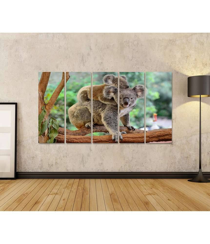Islandburner Bild auf Leinwand Baby-Koala kuschelt auf dem Rücken seiner Mutter im Eukalyptusbaum Letzte 3 Tage