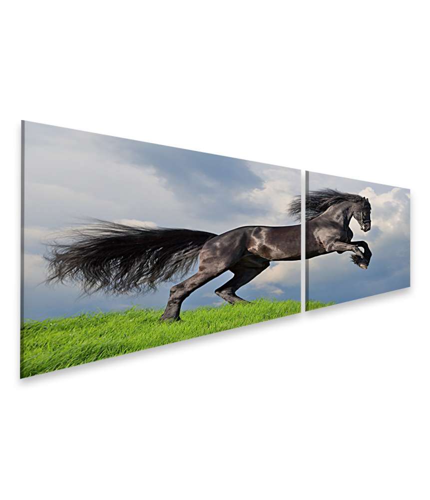Islandburner Bild auf Leinwand Friesisches Pferd in voller Galopp auf Wandbild dargestellt Fabrikladen