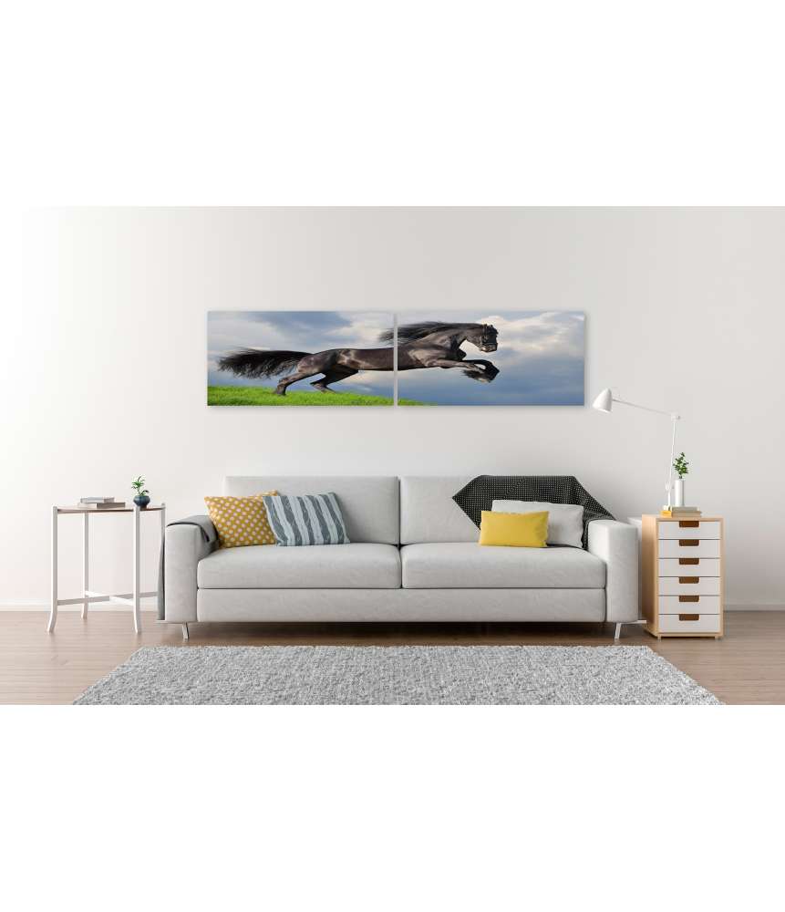 Islandburner Bild auf Leinwand Friesisches Pferd in voller Galopp auf Wandbild dargestellt Fabrikladen