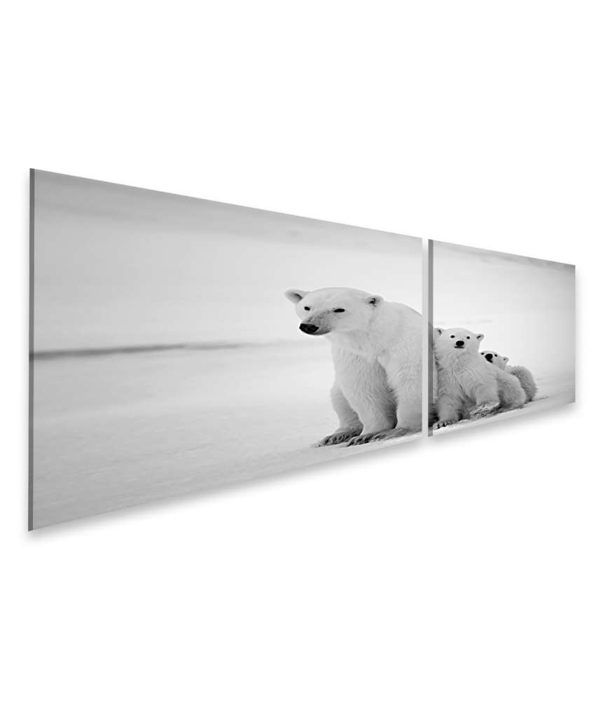 Islandburner Bild auf Leinwand Eisbär-Mutter mit Jungen in der eisigen Arktis - Polarbär Wandbild Schlussverkauf