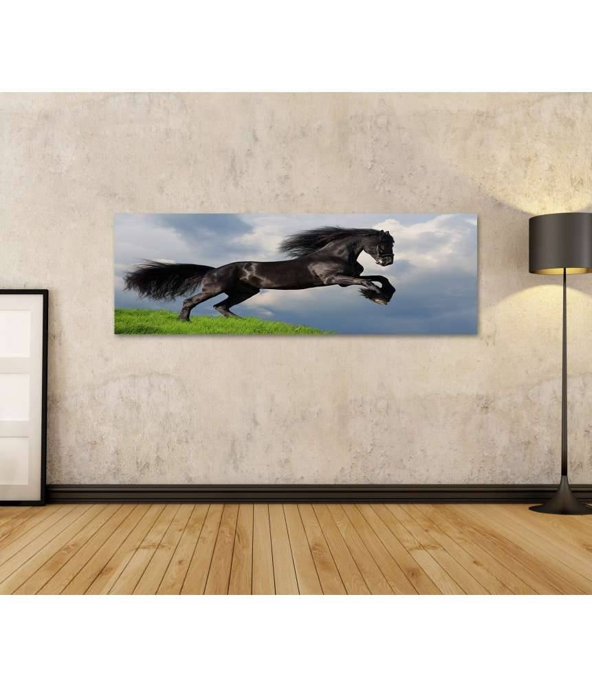 Islandburner Bild auf Leinwand Friesisches Pferd in voller Galopp auf Wandbild dargestellt Fabrikpreis