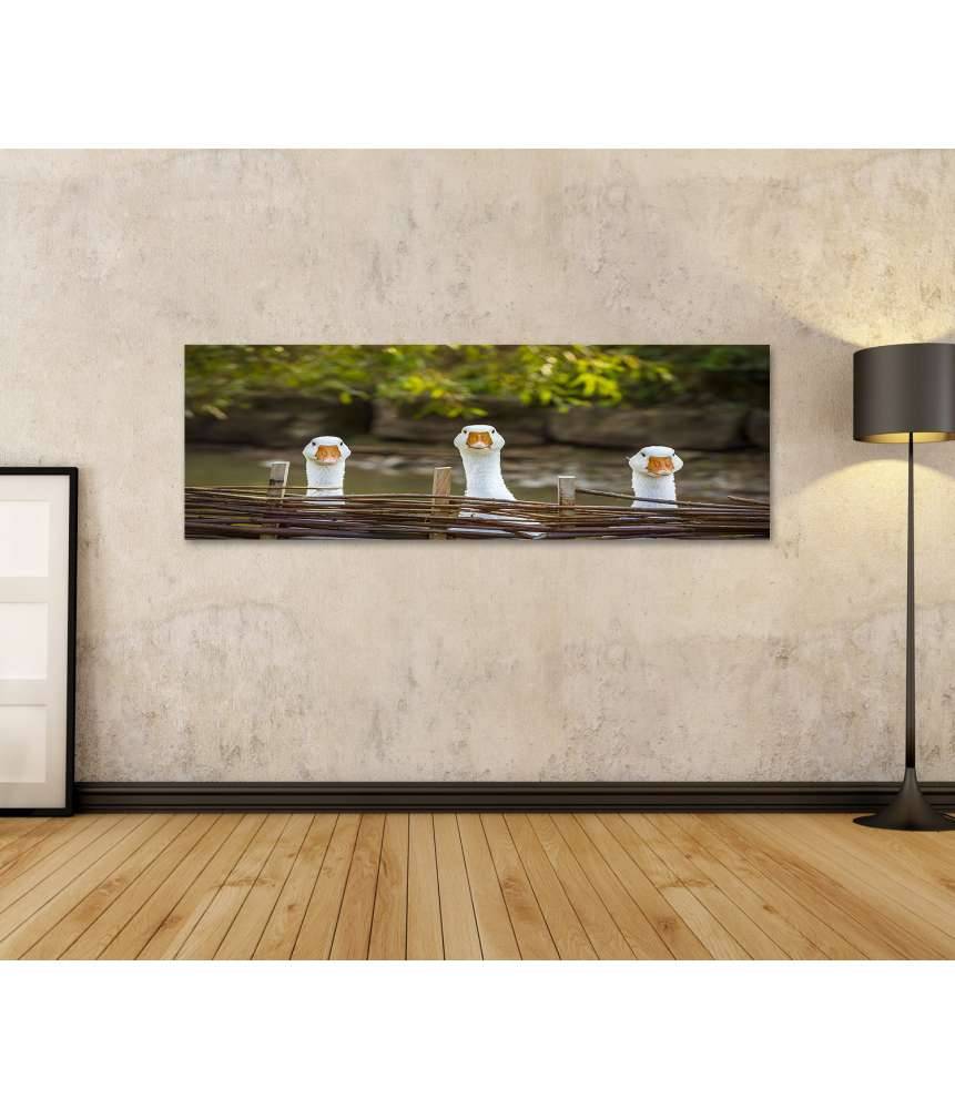 Islandburner Bild auf Leinwand Drei heitere weiße Gänse hinter einem Flechtzaun auf einem Wandbild Flash Sale