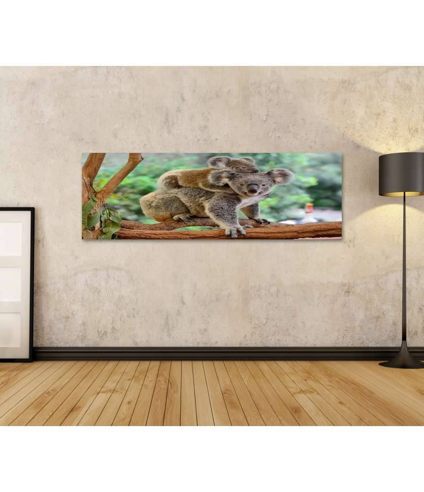 Islandburner Bild auf Leinwand Baby-Koala kuschelt auf dem Rücken seiner Mutter im Eukalyptusbaum Cyber Monday