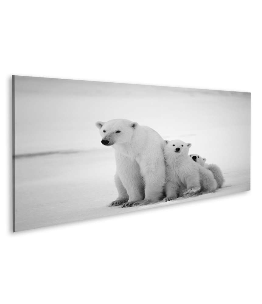 Islandburner Bild auf Leinwand Eisbär-Mutter mit Jungen in der eisigen Arktis - Polarbär Wandbild Heißer Verkauf