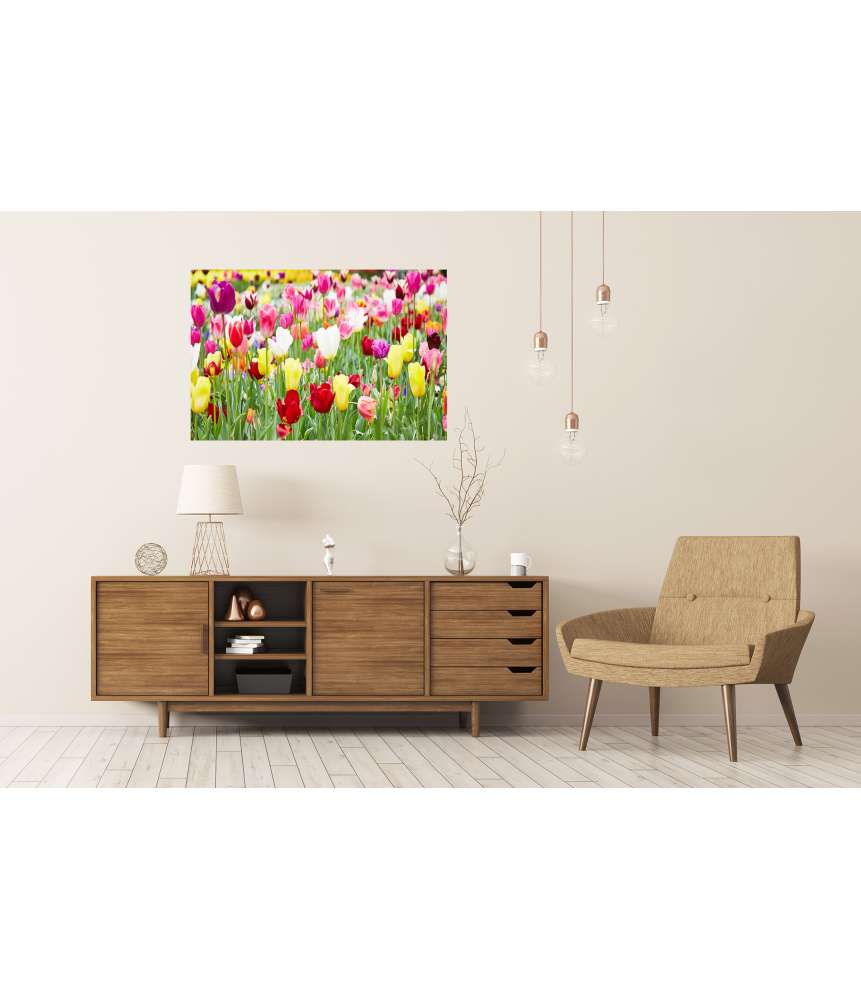Islandburner Premium Poster Vielfältige Blumenauswahl mit prächtig blühenden Tulpen als Highlight Sonderangebote