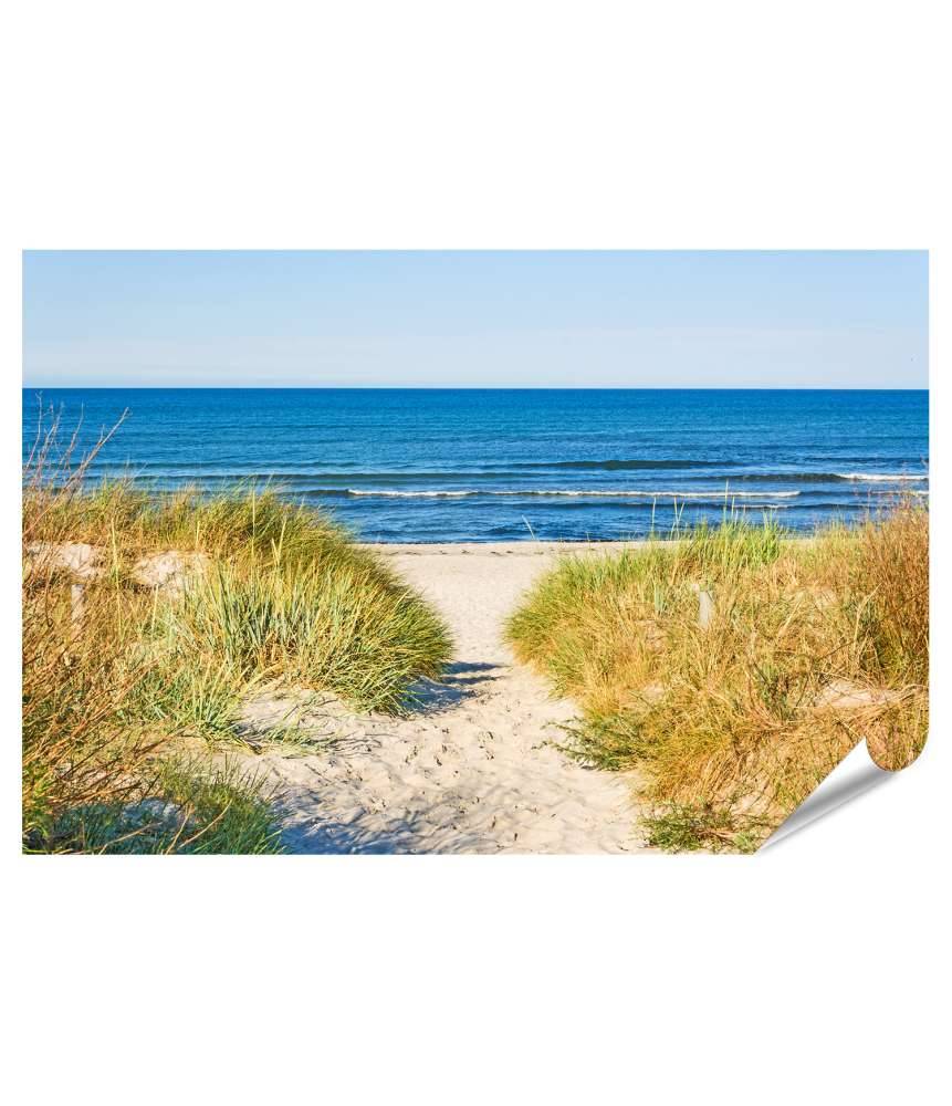 Islandburner Premium Poster Weg zur Ostsee umrahmt von Strandhafer: ein idyllisches Wandbild Begrenzte Freigabe