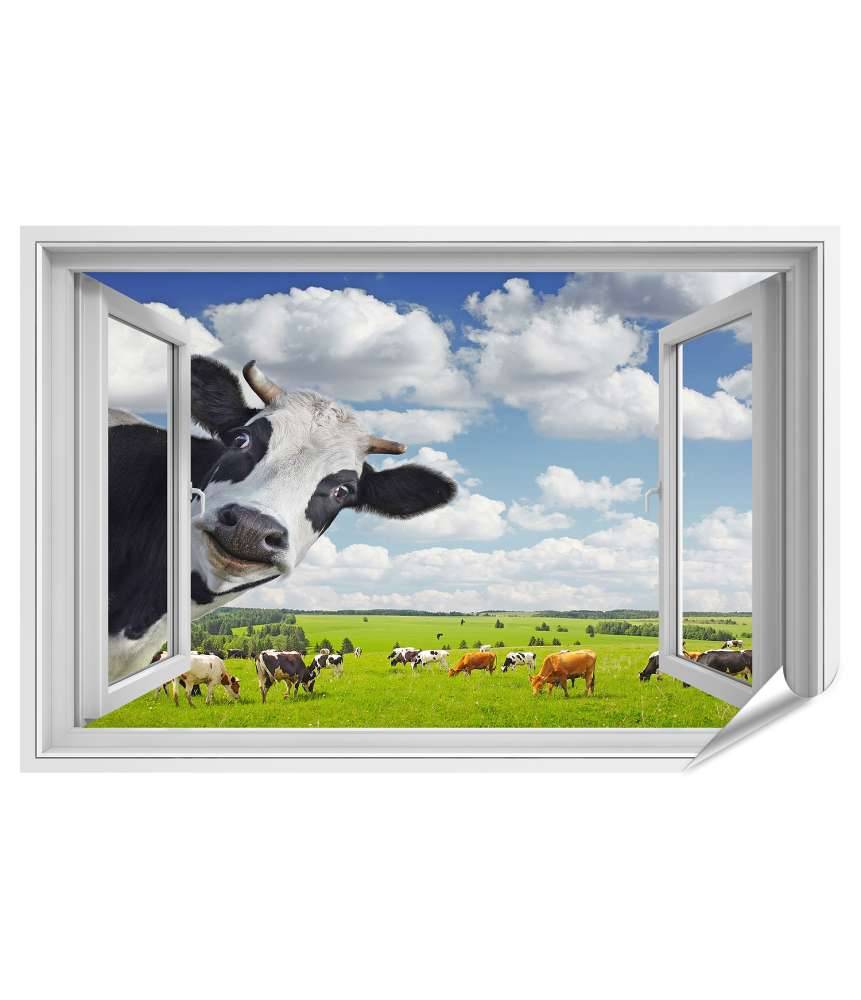 Islandburner Premium Poster Lustige Kuh blickt in Kamera durch Fenster - Wandbild Bis zu 65% Rabatt