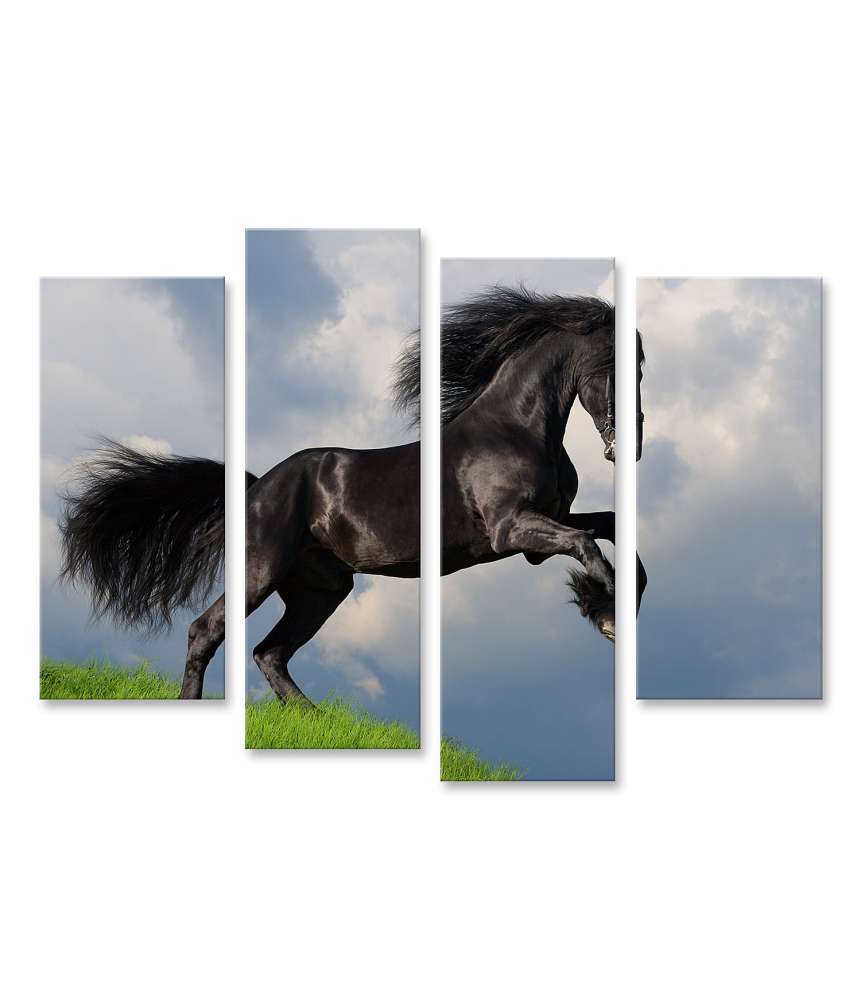 Islandburner Bild auf Leinwand Friesisches Pferd in voller Galopp auf Wandbild dargestellt Kostenloser Versand international
