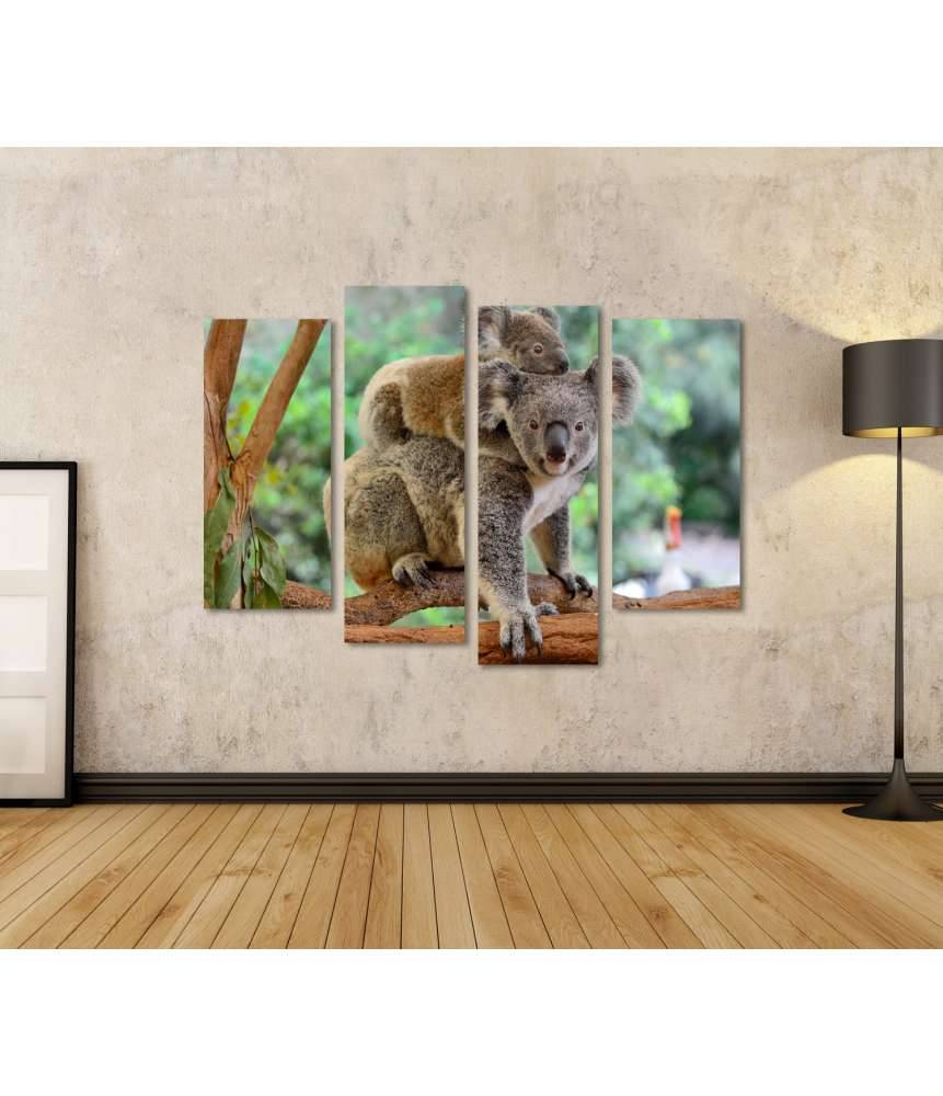 Islandburner Bild auf Leinwand Baby-Koala kuschelt auf dem Rücken seiner Mutter im Eukalyptusbaum Rabatte dieses Monats